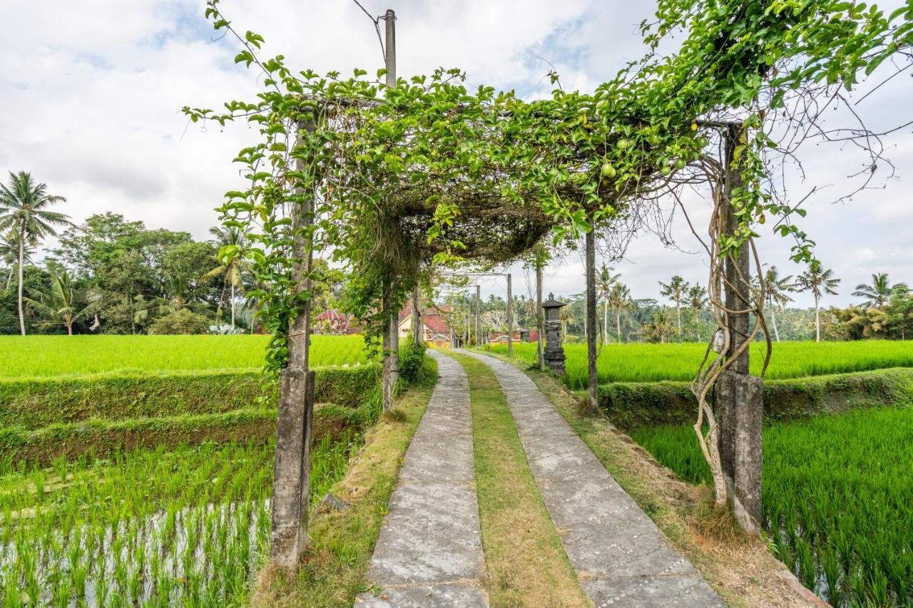 Tirta Asri
